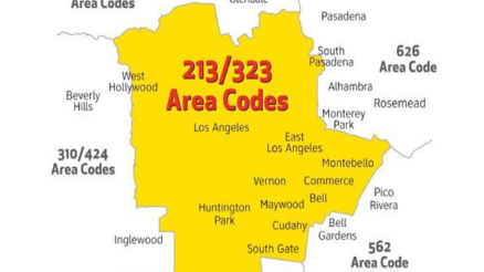 How to Search By Area Code