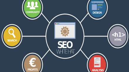 Which Company Has The Best SEO?