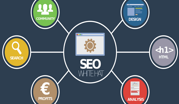 Which Company Has The Best SEO