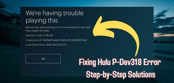 Hulu P-Dev318 Error