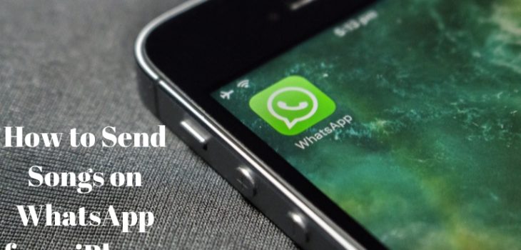 How to Send Songs on WhatsApp from iPhone