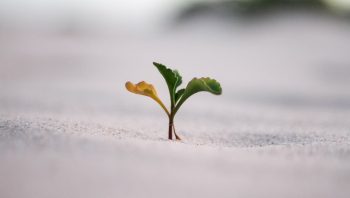 Amazon Aggregators List to Sell Your FBA Business