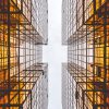 Adler AI Tool: Revolutionizing the Way You Approach Content Creation